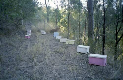 Uly (med tady nic moc, ale koupil jsem ten nejlevnejsi, takze mozna proto)