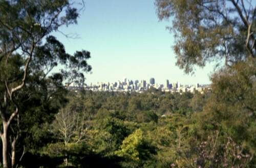 Brisbane City - pohled z lookoutu v boanicke zahrade pod Mt Coot-tha