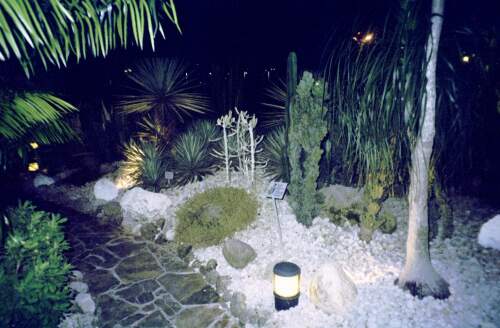 Cactoo garden na Singapurskem letisti