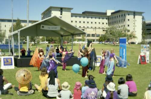 Belly dancers (brisni tanecnice - zacatecnice:-))
