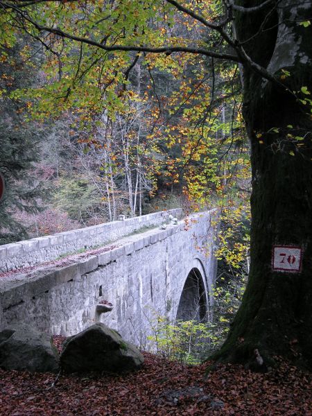 061102_pont_du_diable.jpg
