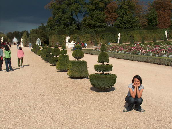 the well groomed plants:-)