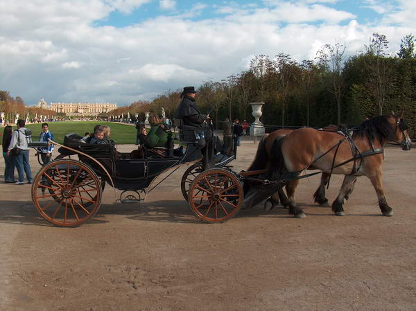 one of touristic attraction, the horse riding. look at the size of the horses!!!!
