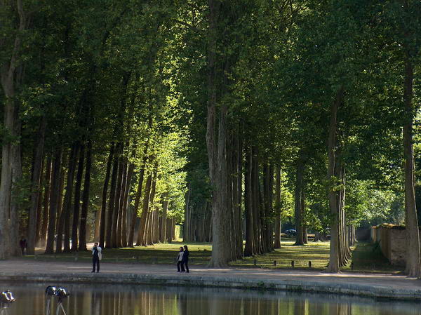 nice little woods for a stroll