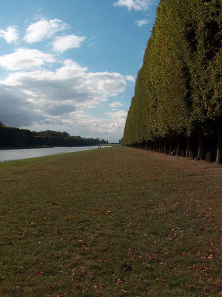 trimmed trees and grass along the canal