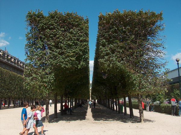 Palais Royal Garden