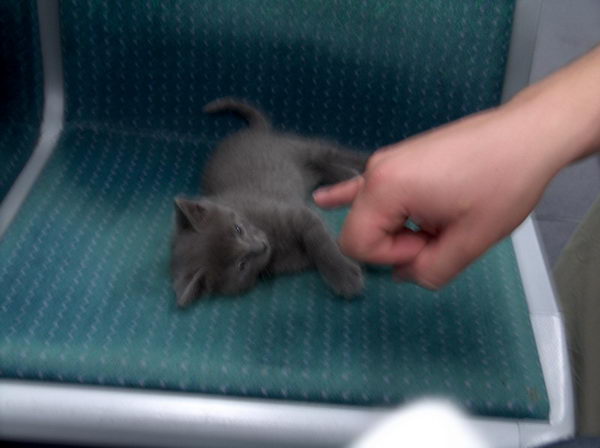 killing time in metro