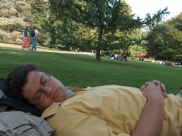 where you may enjoy your lovely nap, zzz...