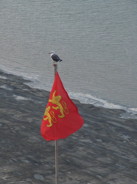 Another viewpoint, only for sea gulls, though
