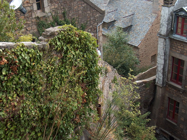 Wall covered by plans