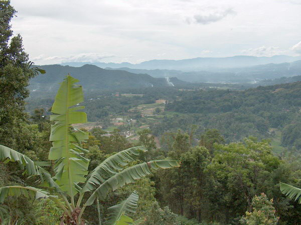 Zelené kopce okolo Bukittinggi