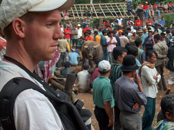 Dikouš, v pozadí buvol