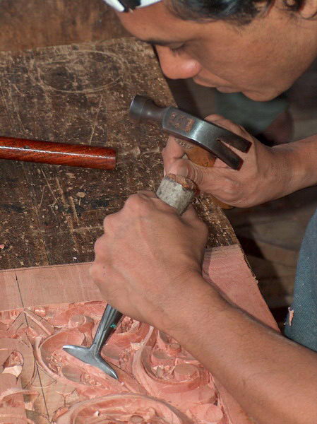 Jsou celkem šikovní a hlavně hrozně rychlí!