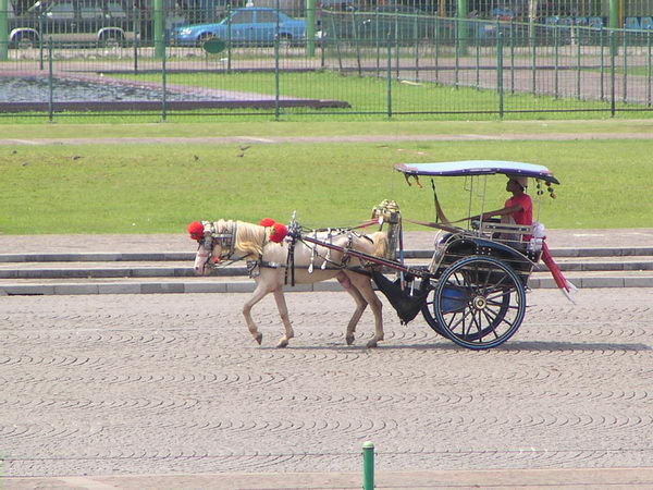 Koňský povoz pro turisty