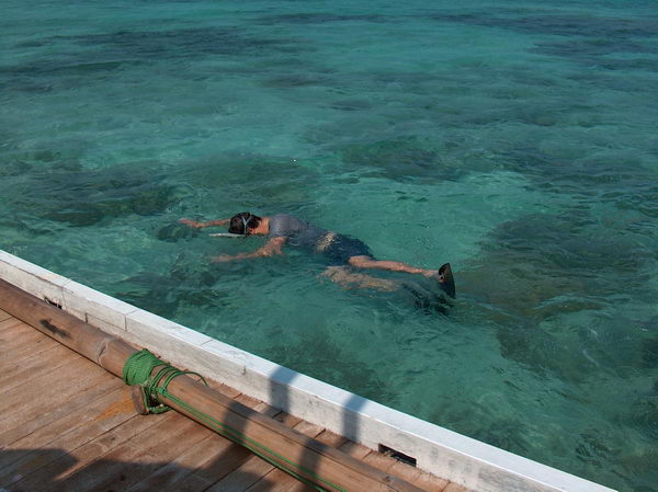 Snorkelling, čili šnorchlování - viděli jsme různé rybky, včetně Nema, rejnoky a mořské ježky s půlmetrovými bodlinami! AU!