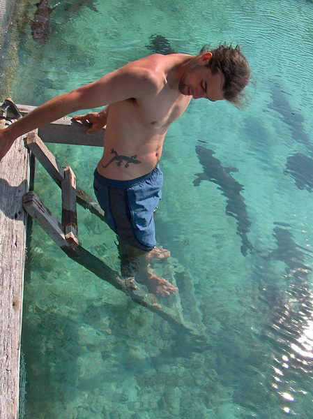 Hlad do jde zkusit. Moc se mu tam nechce...