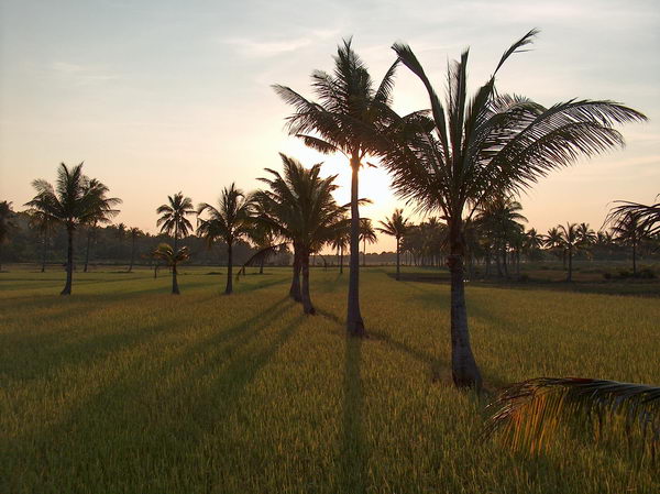 Stíny už se protahují...