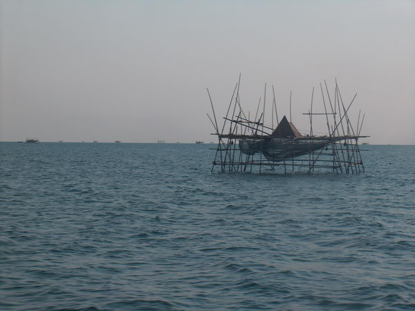 U pobřeží se vyskytují takovéto zvláštní konstrukce, ale nevíme, co to je.