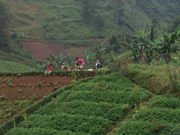 Zemědělství funguje i tady nahoře
