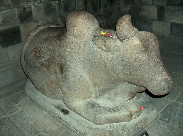 Býk Nandi, Šivův dopravní prostředek