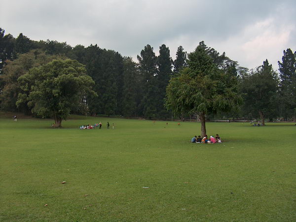 Louka (byla by dobrá na frisbee!)