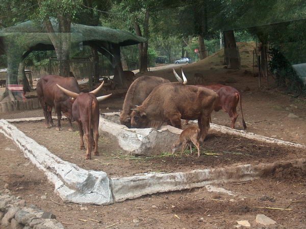 Tohle nevím, jak se jmenuje
