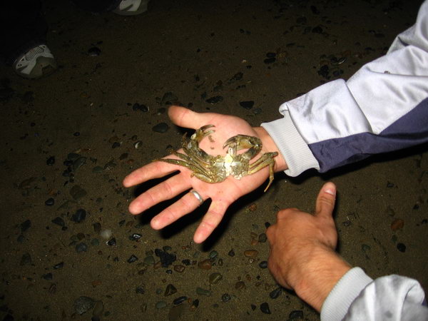 Mrtvolka z Irského moře