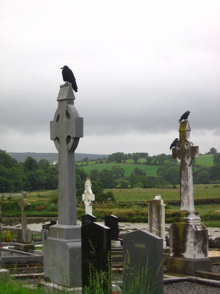 Když jsem se z pole vracela, dva havrany jsem viděla...