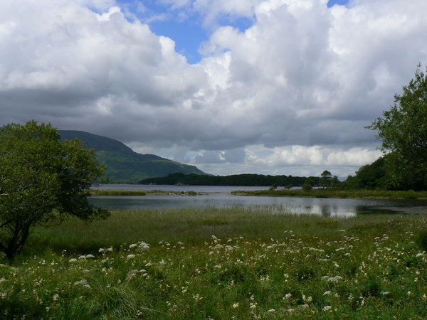 Killarney view