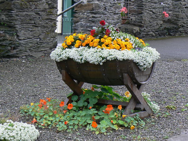 Sligo´s flowerpot