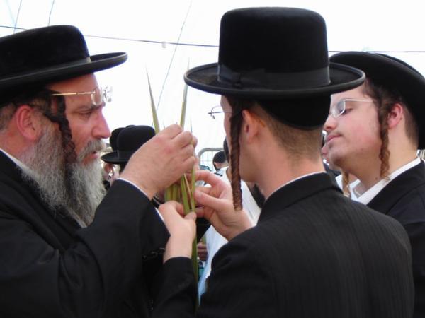 (x) A když si nejsou jistí, poradí se svým učitelem nebo chavrutou/Consulting a teacher