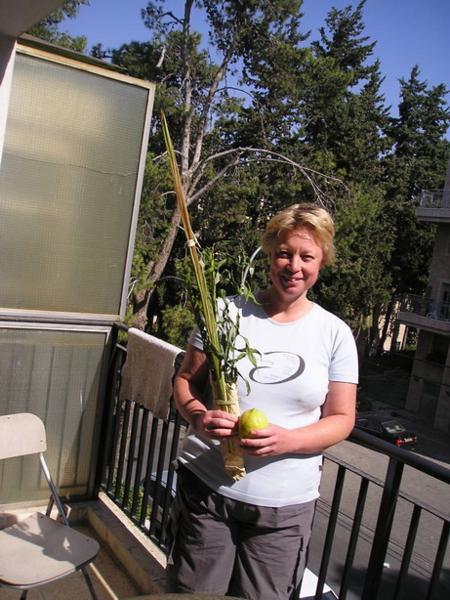 Clary se "čtyřmi druhy/ Clary and Arba Minim