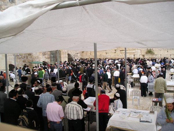 Sukot u zdi nářků (sem tam je vidět pány třesoucí "čtyřmi druhy")/Sukot at the Western Wall (notice several men shaking the arba minim)