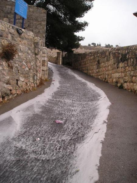 Po prvním prudkém dešti/After the first torrential rain