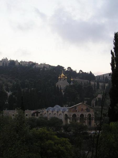 Pohled na Olivetskou horu z údolí Kidron/A view of Mount of Olives from Kidron Valley