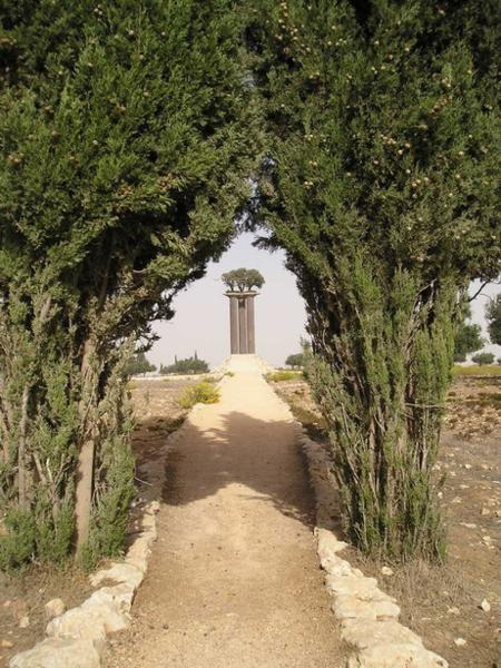 Olivový park vedle kibucu Ramat Rachel stojí na bývalé (r. 1967) hranici z Jordánskem/ Park of Olives near kibutz Ramat Rachel located on former (1967) border with Jordan