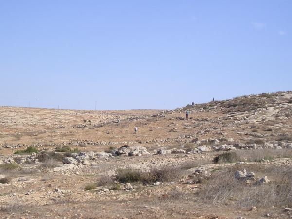 My odcházíme na druhý kopec. O chvíli později se setkáváme s prvními osadníky. Vynoří se za kopcem, přiběhnou k nám, každého zblízka vyfotí a rychle odběhnou pryč