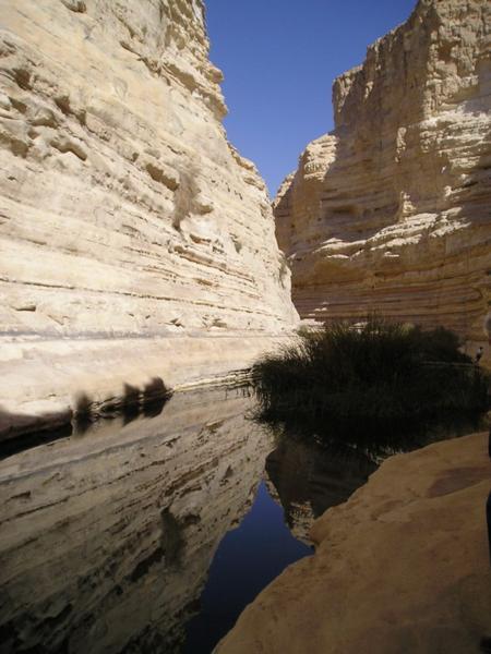 Přírodní rezervace Ein Avdat/Ein Avdat nature reserve