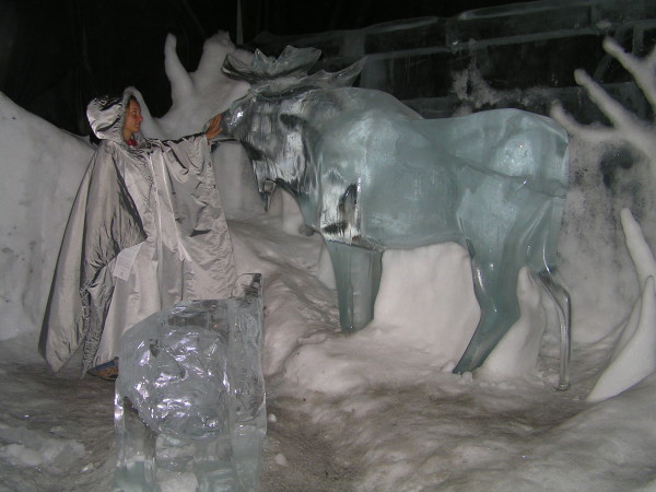 Jediný los, kterého jsme potkali