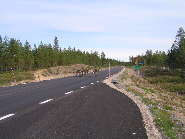 Ty si z předpisů hlavu nedělají…