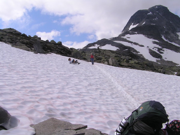 Ježdíkování na sněhu