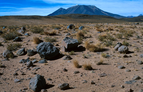 Jiné Alfonsovo zátiší