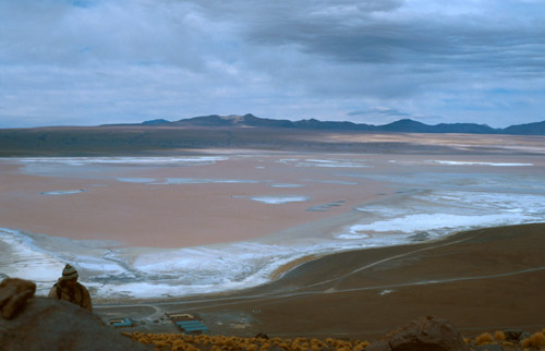 Laguna Colorada je opravdu růžová! Prý je to způsobeno těmi mrňavými potvorami, co v tom žijou.