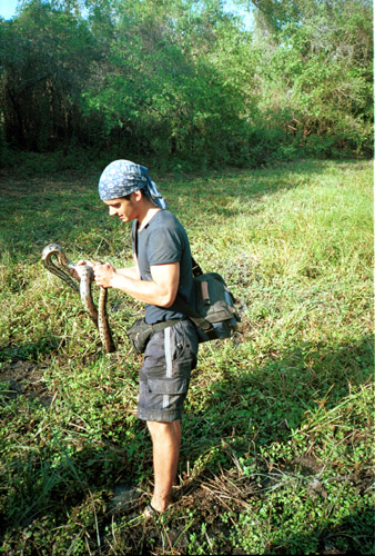 Alfons si podržel anakondu (jen malou, asi dvoumetrovou). Ale držel ji jemně, ekologicky:-)
