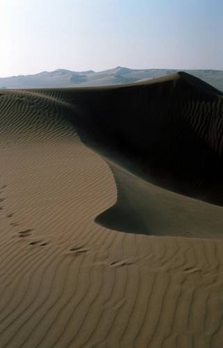 Písečné duny v Huacachině