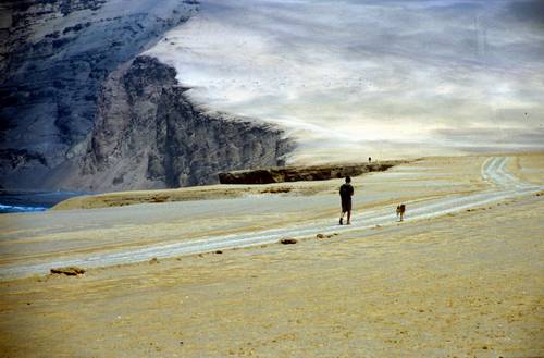 Hlad si pro výlet k lachtanům našel kámoše - místního psa. Málem jsme si ho nakonec odvezli.