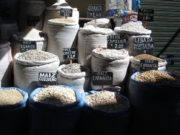 Oddělení "kukuřice a spol." (Pro zasvěcené ze Suchdola: Tady bych poznávačku ze semen kulturních plodin dělat nechtěla...)