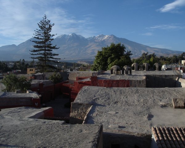 Po střechách kláštera běhají divocí psi "dingoidního typu".