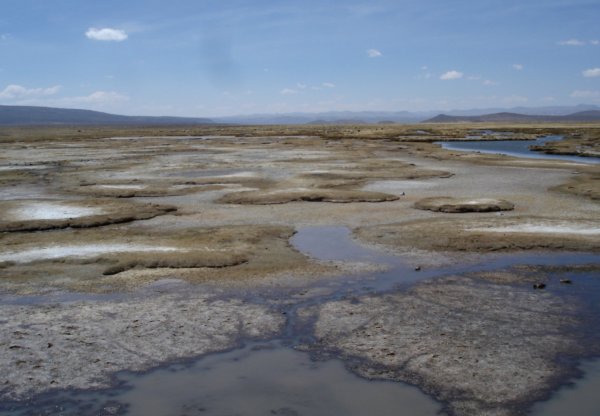 Mokřad ve 4000 m n.m.
