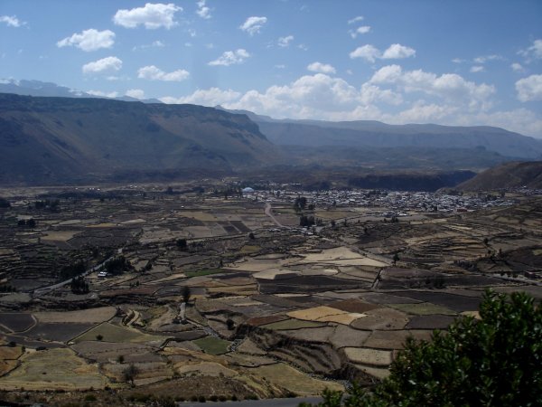 Terasovitá políčka se zavlažovacími kanály kolem Chivay.